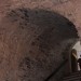 mini-IMG_1390